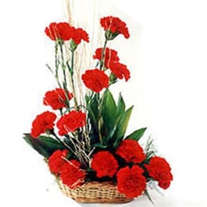 20 Red Carnations Basket